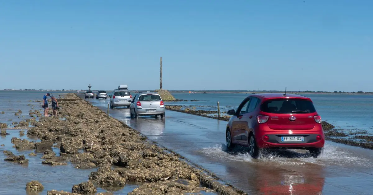 Les Meilleures Techniques pour Gagner au Morpion